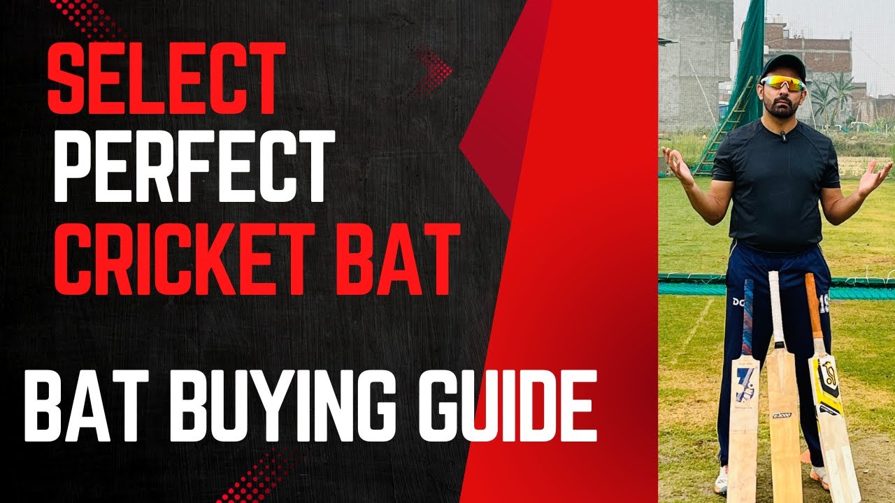How to Select a Perfect CRICKET BAT ? How to Choose Cricket bat ...
