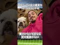 イブラヒモヴィッチの神エピソード #サッカー雑学 #サッカー解説 #パリサンジェルマン #マンチェスターユナイテッド