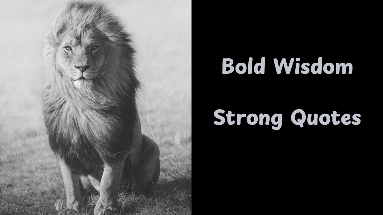 Courage is almost a contradiction in - YouTube