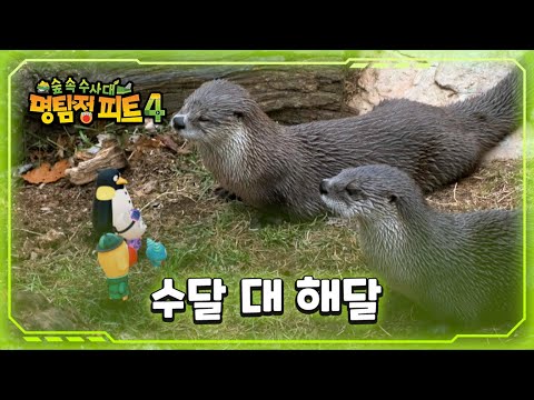 [명탐정 피트 4] - <strong>수달</strong> 대 <strong>해달</strong>