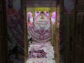 Shree Shyam baba #nayenawelidulhanparpehledin