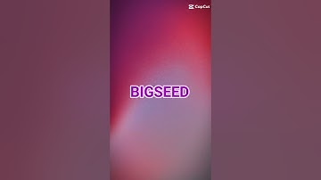 Tiếp tục có code nữa nè :)) #playtogether #playtogethervng #lylyxlinh69 #code #shorts