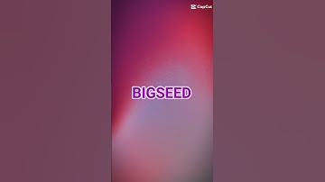 Tiếp tục có code nữa nè :)) #playtogether #playtogethervng #lylyxlinh69 #code #shorts