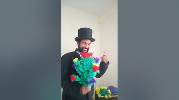 srinivasapandit magic(1)