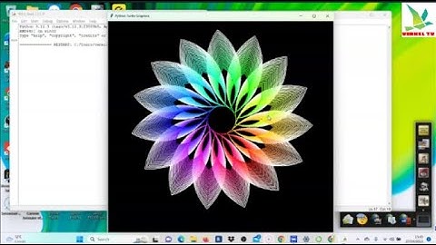 How to Draw a Flower Using Python | Beginner Programmer Python Tutorial