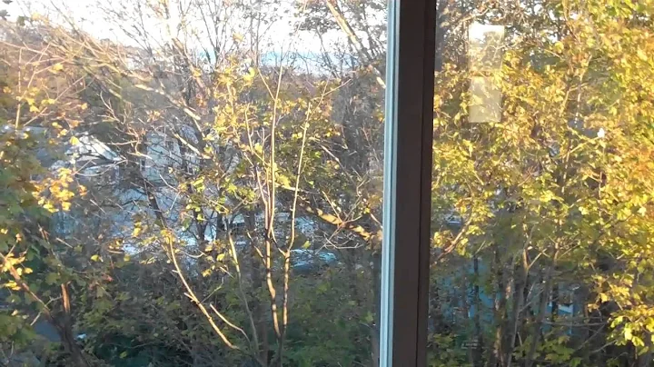 VID00078
