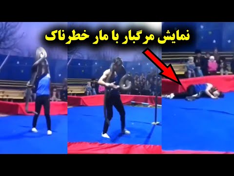 فاجعه هولناک در نمایش با مار غول پیکر ۶ حادثه ترسناک و شوک کننده