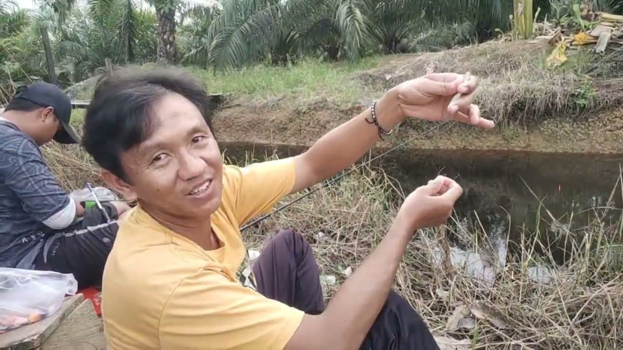 PLUUUNG NYUUTT || IKAN INI PINTAR SEKALI KALO MAKAN UMPAN