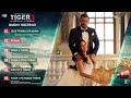 Tiger 3 Audio Pritam Tanuj Tiku Mp3 Song