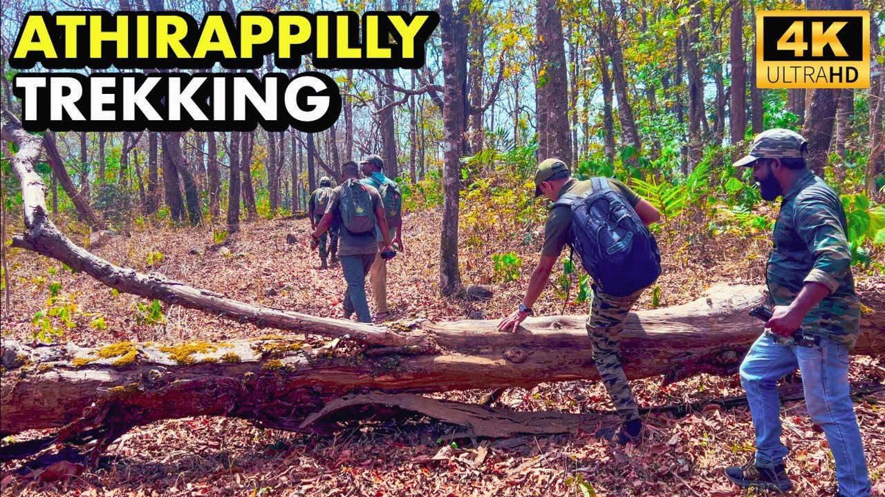 അതിരപ്പിള്ളിയിലെ പുതിയ ട്രെക്കിങ്ങും ജീപ്പ് സഫാരിയും | Athirappilly Trekking & Jeep Safari | 4K UHD