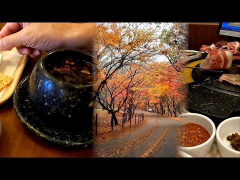 만추여행 정읍 숙소 내장산단풍 신선봉  쌍화차거리 비빔짬뽕 등 에피소드full