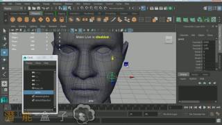 MAYA教學 370 骨架 cluster soft Modification等做表情