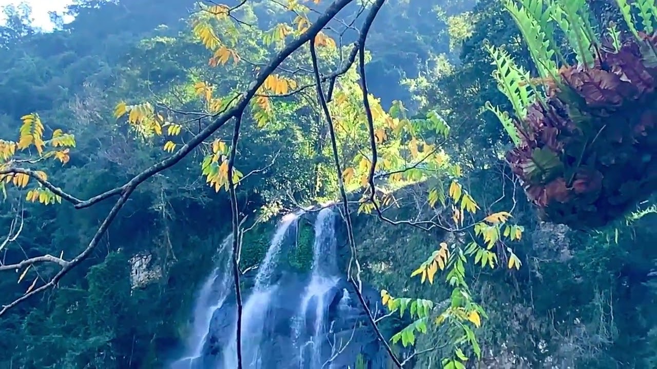 晨曦烏來｜水瀑、光瀑，襯著～櫻花、纜車同框，旅人湖中悠閑泛舟…