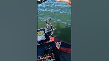 Slow Slow Retrive
