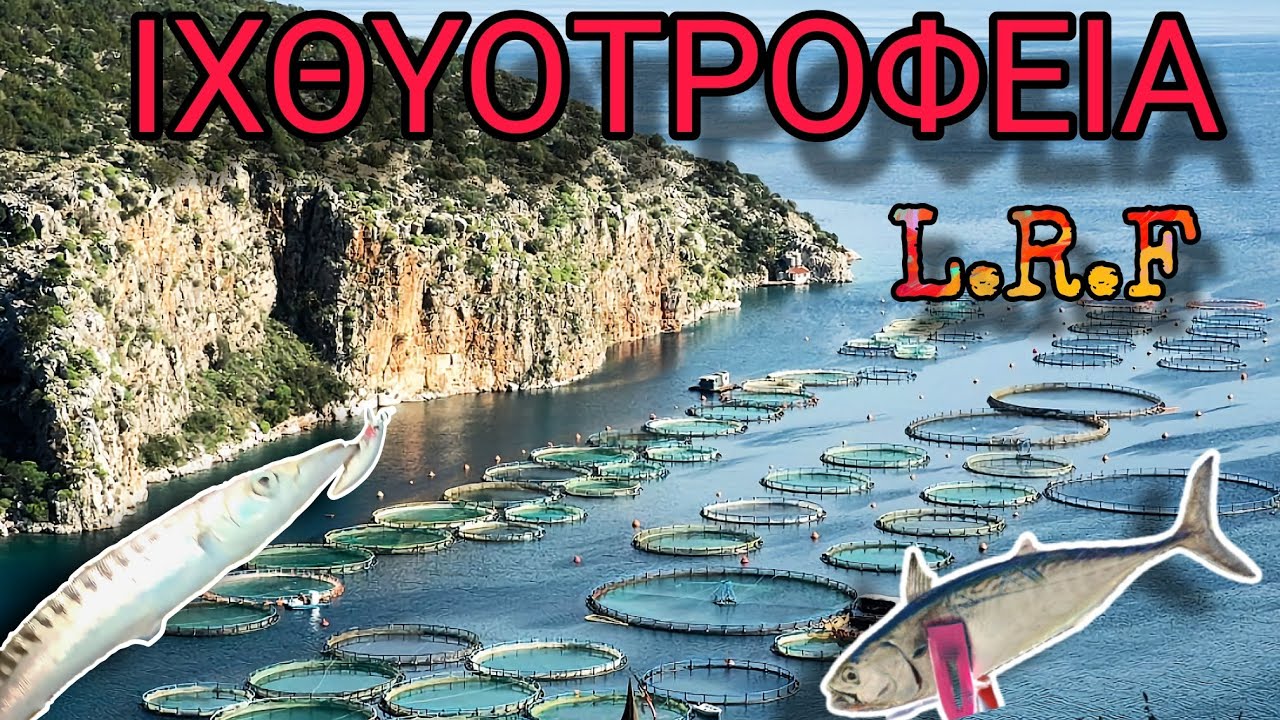 Πήγαμε Για Lrf Στα ΙΧΘΥΟΤΡΟΦΕΙΑ | Βολή Και Ψάρι✔️ #fishing #lightgame #greece #lrf