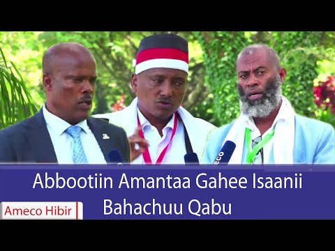 AMECO HIBIR Abbootiin Amantaa Gahee Isaanii Bahachuu Qabu 08 11 2017