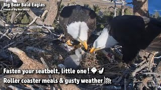 Big BearFasten You Seatbelt, Little One!Roller Coaster Meals & Gusty Weather20220313