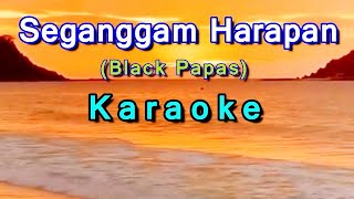 Segenggam Harapan ~ Black Papas - Karaoke Tanpa Vocal