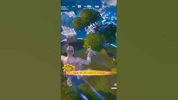 crazy hand Cannon no scope