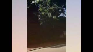 Sweet Summer - Gotcho Deeveeno