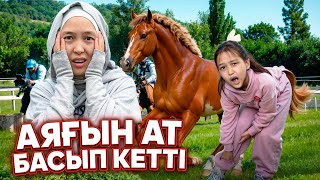 картинка: КРАСАПЕТКАНЫҢ АЯҒЫН АТ БАСЫП КЕТТІ😭😱 #анаратұрсынжанқызы 