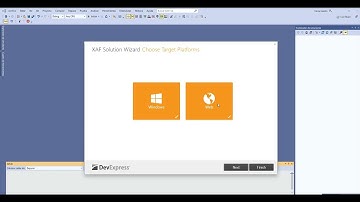 CRUD RELACIONAL con XAF en Español - XPO