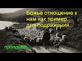 Божье отношение к нам как пример для подражания...