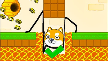 Save The Dog Speedrun Gameplay Level 160