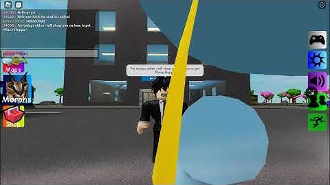 How to get "Plane Floppa" In find the floppa morphs