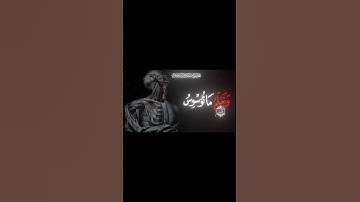#دعاء #اكسبلور #الرحمن #الله #لايك #المصحف #المنشاوي #محمد_المنشاوي #خاشعة_تلاوة #تلاوة_خاشعة