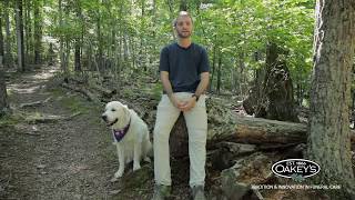 Sam Oakey, IV, Assistant Manager, Oakey's Roanoke Chapel & Ragnar, Oakey's Grief Therapy Dog
