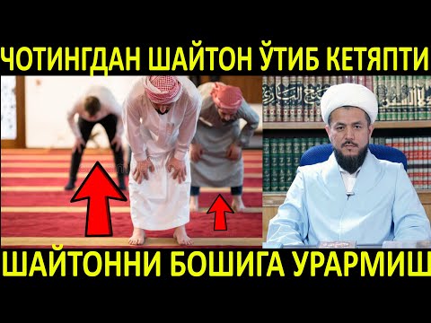 Video: Nutqda ishora nima?