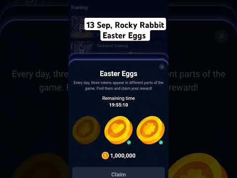 Today Rocky Rabbit