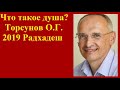 Что такое душа?Торсунов О.Г. .2019 Радхадеш