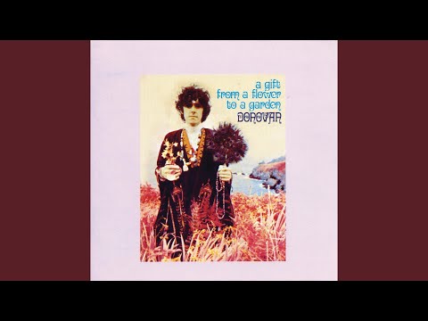 donovan the magpie