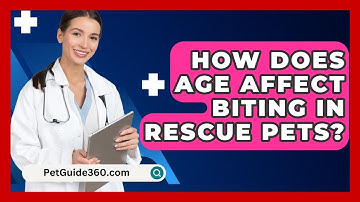 How Does Age Affect Biting In Rescue Pets? - PetGuide360.com