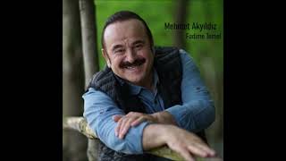 Mehmet Akyıldız - Fadime Temel