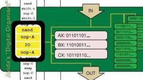 AVIDA Challenged in IEEE Paper: I.D. the Future: Graduate Student, Winston Ewert