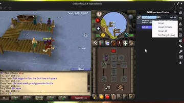 OSBuddy General Tutorial