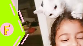 Baby and Cat Fun and Cute #9 - Funny Baby Video