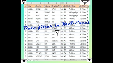 data filter  using MS- Excel  in Amharic