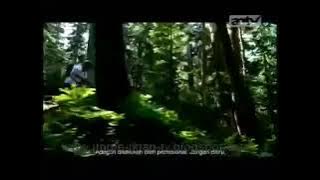 Download lagu Iklan Rexona Men Adventure