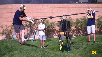 MARLO vs. Wave Field | Jessy Grizzle | MichEpedia