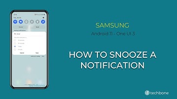 How to Snooze a Notification - Samsung [Android 11 - One UI 3]
