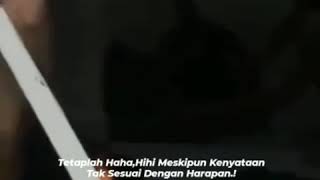 Story WhatsApp Anggur merah
