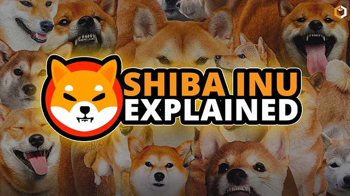 What is SHIBA INU and How Does It Work? $SHIB $BONE $LEASH Cryptocurrency
