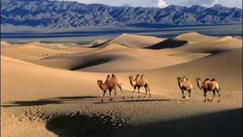 سورة الحج للقارئ إسلام صبحي