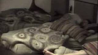 20080812#23h.wmv