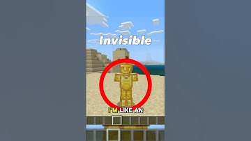 Can You Have a INVISIBLE Skin in Minecraft? 🤔