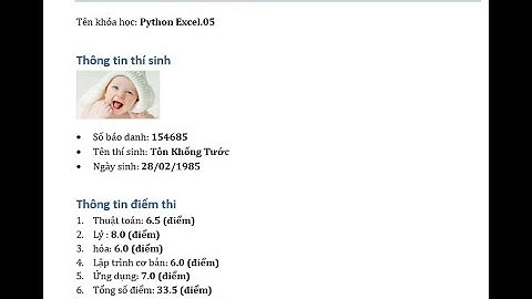 Tạo phiếu báo điểm hàng loạt từ dữ liệu Excel, xuất ra file word bằng python